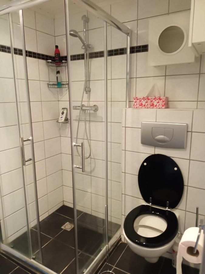 Welkom In Mijn Studio Bij Het Snekermeer ! Offingawier Luaran gambar