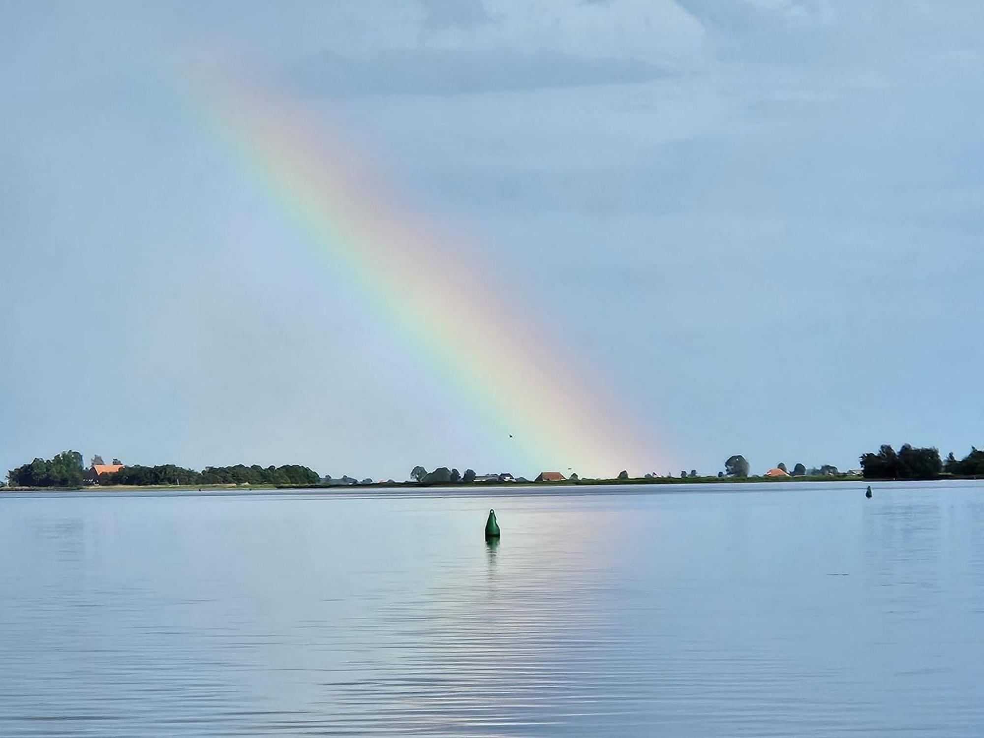 Welkom In Mijn Studio Bij Het Snekermeer ! Offingawier Luaran gambar